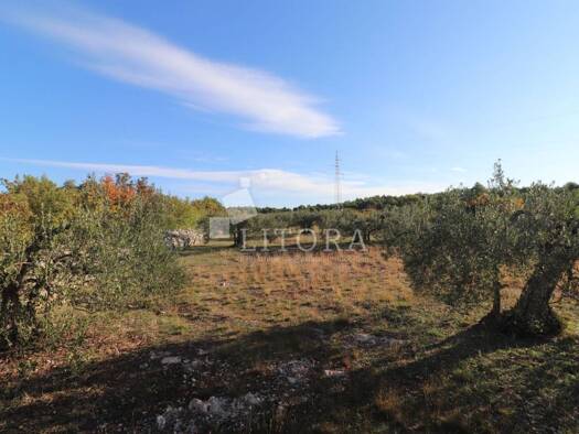 Acker-/Waldstück zum Kauf 65.000 € Bilice, Šibenik - Okolica Bilice 22000
