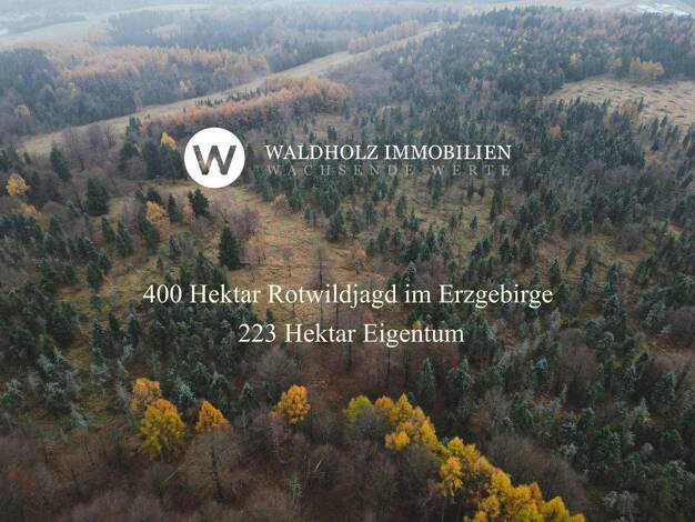 Forstwirtschaft zum Kauf 2.234.244 m² Grundstück Olbernhau 09526