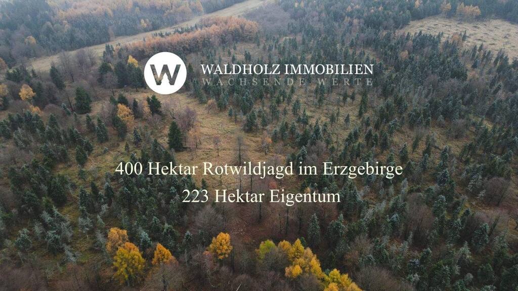 Forstwirtschaft zum Kauf 2.234.244 m² Grundstück Olbernhau 09526