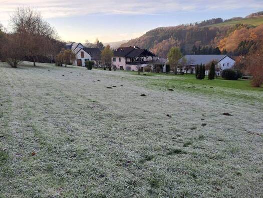 Einfamilienhaus zum Kauf 349.000 € 4 Zimmer 173 m² 3.239 m² Grundstück Biersdorf am See 54636