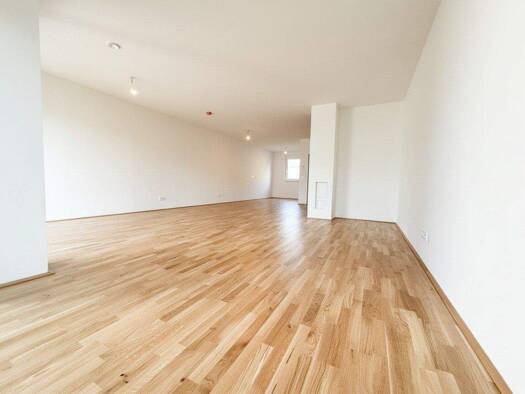 Reihenmittelhaus zum Kauf - Erstbezug 479.000 € 4 Zimmer 111,6 m² frei ab sofort Reisingerstraße Ragelsdorf St. Pölten 3107