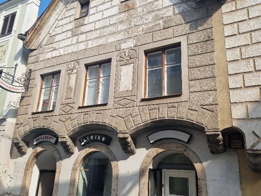 Haus zum Kauf 449.000 € Steyr Steyr 4400