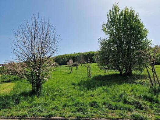 Wohnung zum Kauf - Erstbezug provisionsfrei 319.500 € 2 Zimmer 93,9 m² frei ab 01.01.2027 Ötzingen 56244