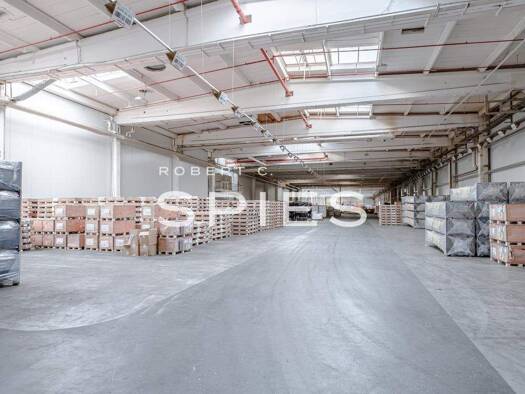 Produktionshalle zur Miete provisionsfrei 3,40 € 16.875 m² Lagerfläche teilbar ab 6.875 m² Baarentelgen Rheine 48432