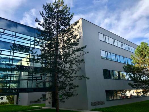 Büro zur Miete 2.500 € 185 m² Bürofläche Vöcklabruck 4840