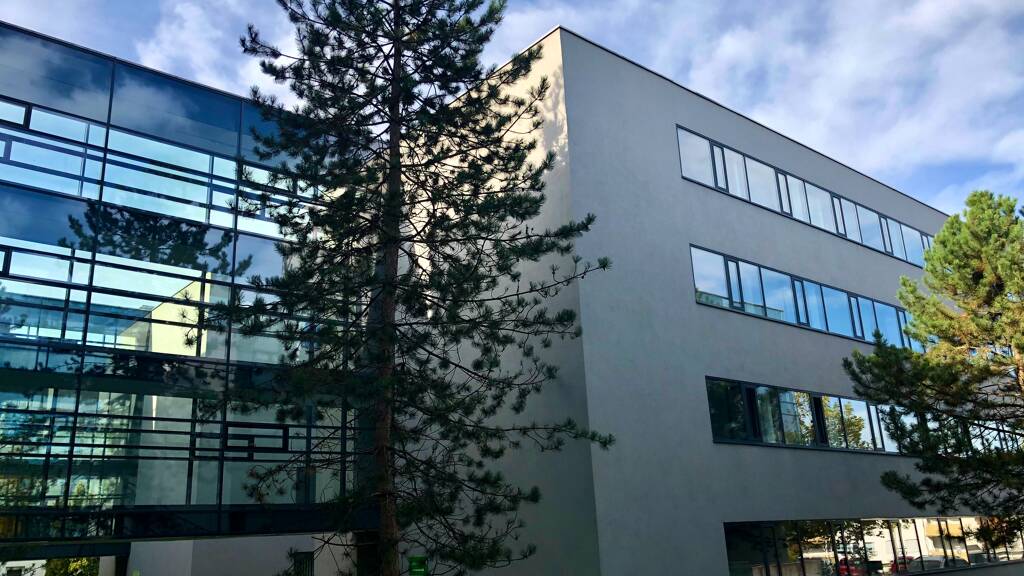 Büro zur Miete 2.500 € 185 m² Bürofläche Vöcklabruck 4840