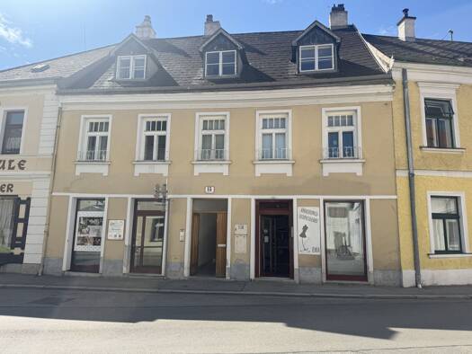 Mehrfamilienhaus zum Kauf als Kapitalanlage geeignet 1.150.000 € 356 m² Baden 2500