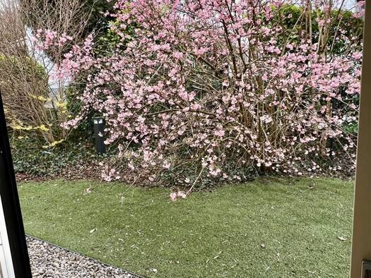 Wohnung zur Miete 3.000 € 2 Zimmer 92 m² EG frei ab 01.05.2026 Bogenhausen München 81925