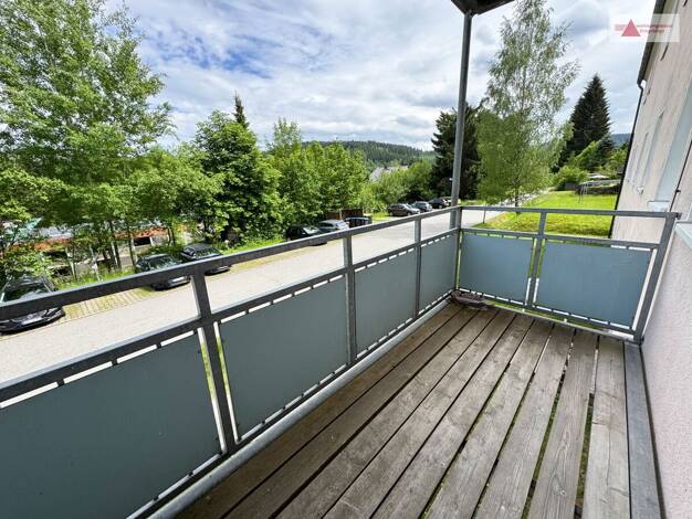 Wohnung zur Miete 310 € 2 Zimmer 53,5 m² 1. Geschoss Am Milchbach 28 Erlabrunn Breitenbrunn/Erzgebirge 08359