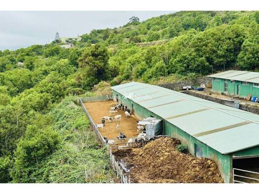 Verkaufsfläche zum Kauf 479.000 € 5.000 m² Verkaufsfläche Garachico 38450