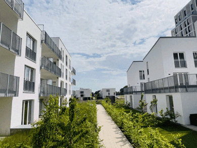 Wohnung zur Miete 750 € 2 Zimmer 62,8 m² 1. Geschoss frei ab 01.08.2025 Hellwinkelterrassen 4a Barnstorf Wolfsburg 38446
