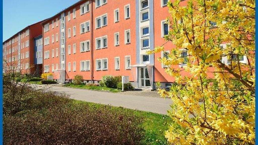 Wohnung zur Miete 275 € 2 Zimmer 46,4 m² 3. Geschoss Wismarer Straße 8 Weida Riesa 01587