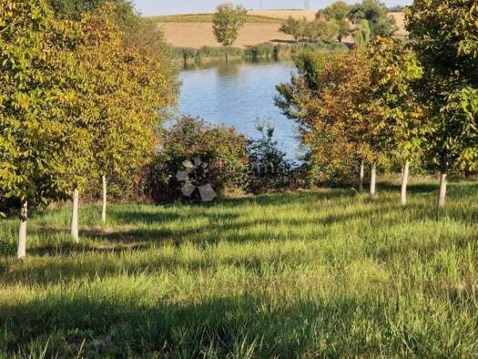 Land-/Forstwirtschaft zum Kauf 230.000 € Djakovo