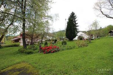 Bauernhaus zum Kauf 254.000 € 11 Zimmer 376 m² 2.674 m² Grundstück Buchenau Lindberg 94227