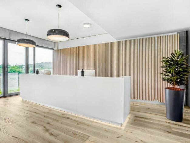 Bürofläche zur Miete provisionsfrei 184 € 4 m² Bürofläche Europaallee Innenstadt Kaiserslautern 67657