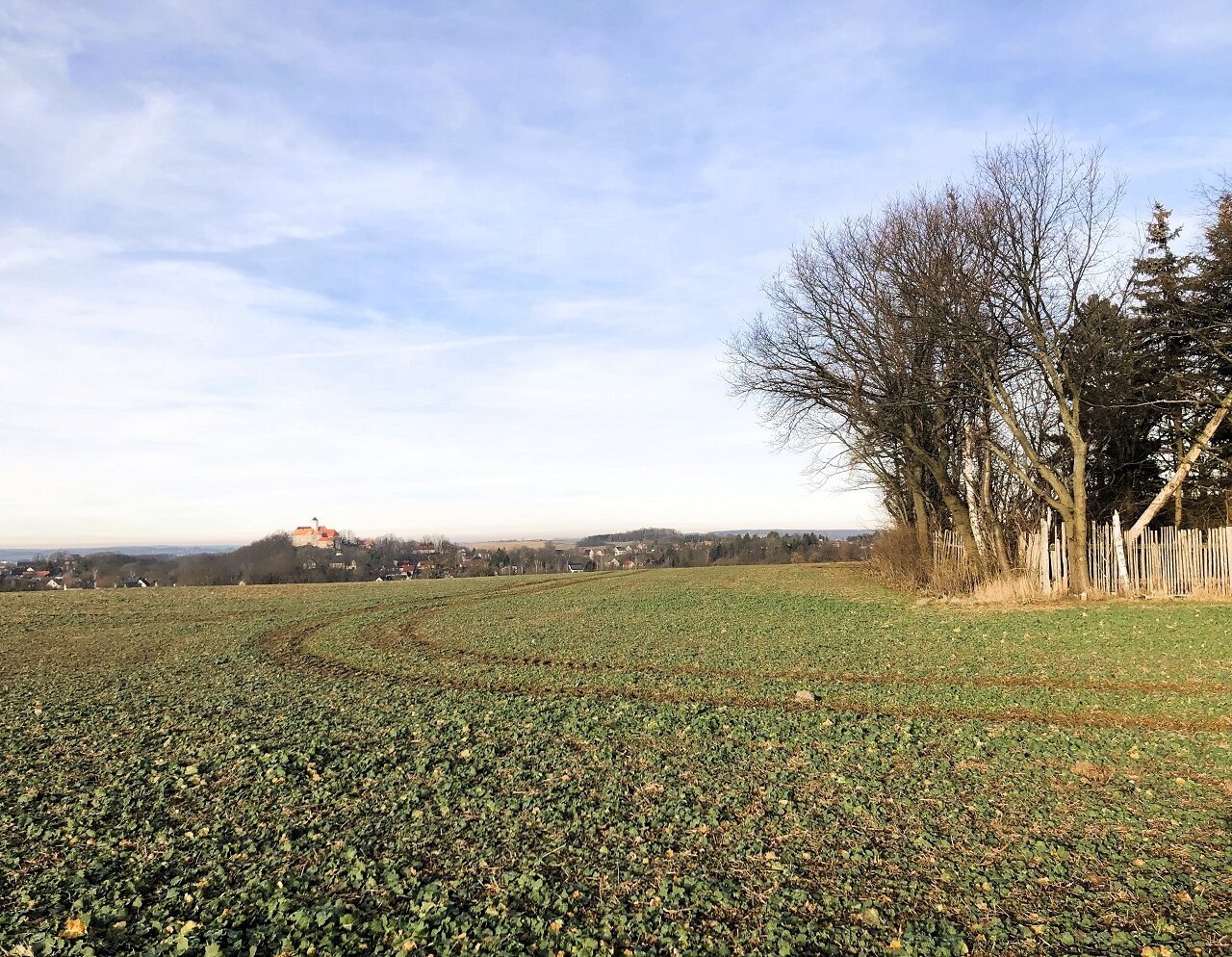 Freizeitgrundstück zum Kauf 45.000 € 1.882 m²<br/>Grundstück Schönfels Lichtentanne 08115