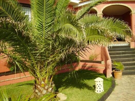 Villa zum Kauf 600.000 € 6 Zimmer 200 m² 600 m² Grundstück Matalascana 21730