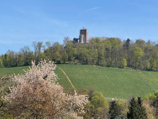 Grundstück zum Kauf 1.500.000 € 1.257 m² Grundstück Durlach Karlsruhe 76227