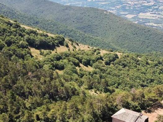 Haus zum Kauf 1.285.000 € 330 m² Spoleto 06049