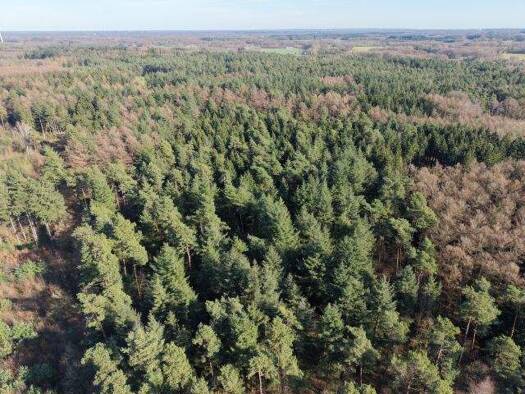 Forstwirtschaft zum Kauf 792.825 m² Grundstück Bippen 49626