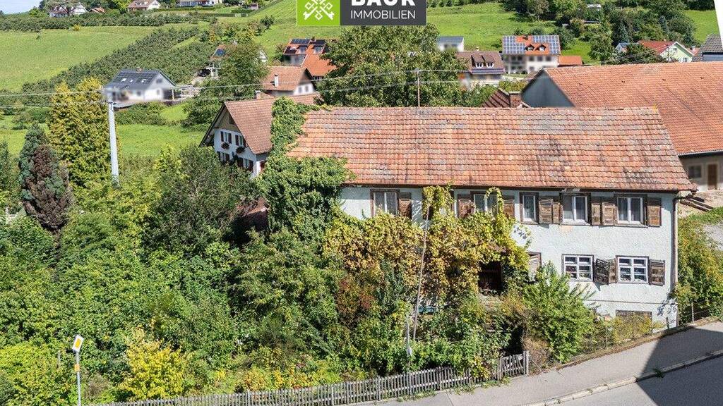 Grundstück zum Kauf 485.000 € 1.031 m² Grundstück Gattnau Kressbronn am Bodensee 88079