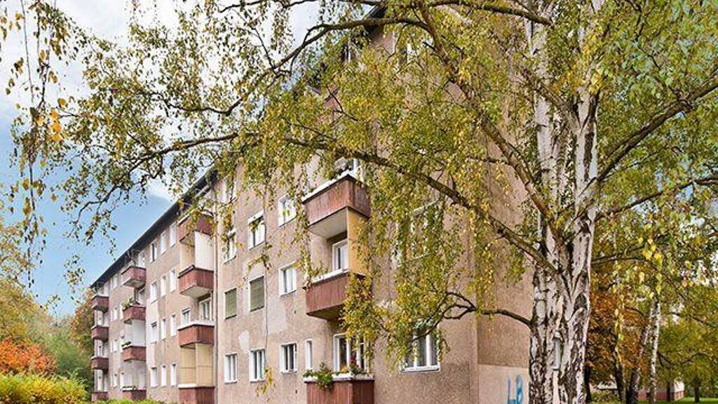 Studio zur Miete 412 € 1 Zimmer 34,8 m² 2. Geschoss frei ab 22.06.2026 Oeserstr. 16 Tegel Berlin 13509