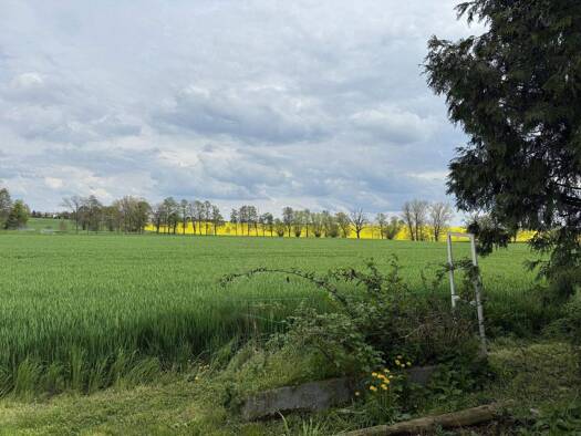 Grundstück zum Kauf 69.904 € 514 m² Grundstück Oberau Niederau OT Großdobritz 01689