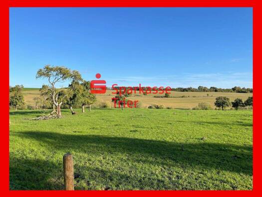 Grundstück zum Kauf provisionsfrei 80.280 € 446 m² Grundstück Newel 54309