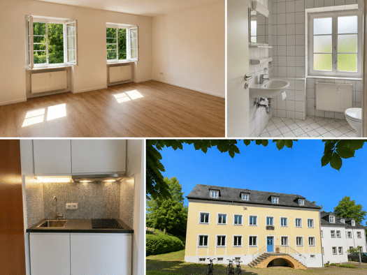 Studio zur Miete 480 € 1 Zimmer 23 m² Geschoss 1/2 frei ab 15.09.2026 Zur Mühle 24 Olewig Trier 54296