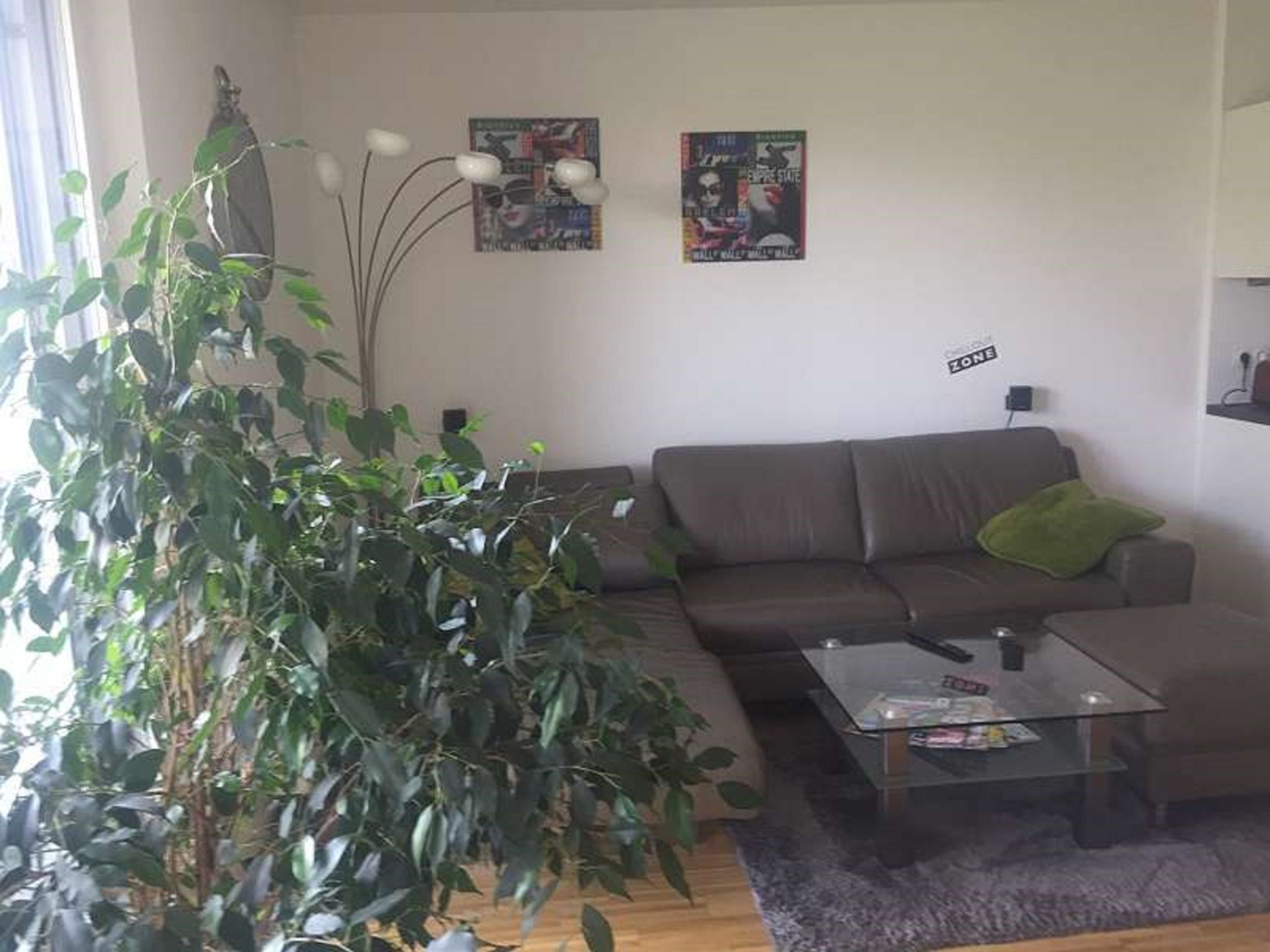 Wohnung zur Miete 680 € 2 Zimmer 55 m²<br/>Wohnfläche Breul 9 Buddenturm Münster 48143