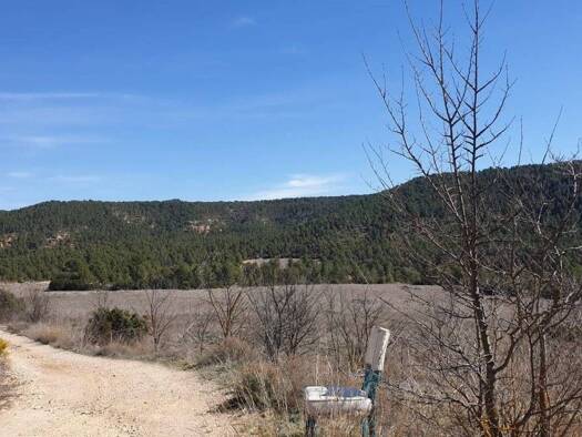 Acker-/Waldstück zum Kauf 50.000 € Requena 46340