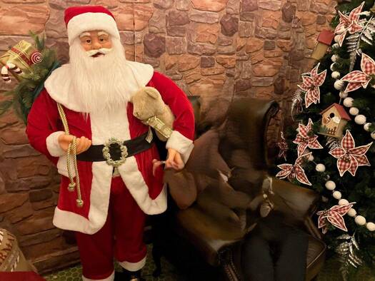 Einfamilienhaus zum Kauf 1.190.000 € 5 Zimmer 154 m² 1.593 m² Grundstück Ahornallee 20 a Bad Saarow-Pieskow Bad Saarow 15526