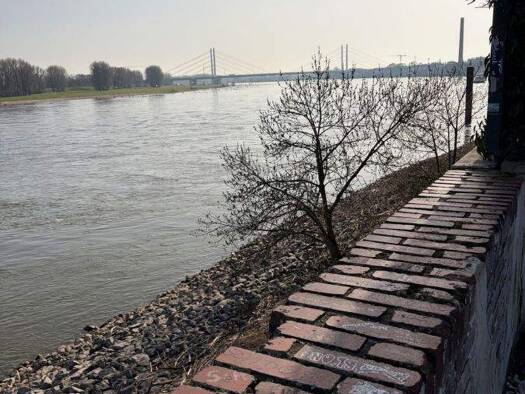 Reihenendhaus zum Kauf - Erstbezug 495.000 € 6 Zimmer 180 m² 150 m² Grundstück frei ab sofort Stolze Schrey Strasse 2 Alt-Homberg Duisburg 47198