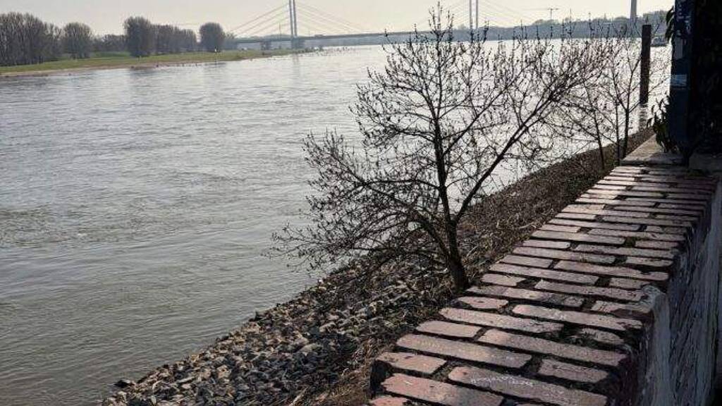 Provisionsfrei* Neubau Eckhaus EFH mit PV 10,4 KW+Garage 140m zum Rheinufer Energiebedarf 22,4 kWh/m2/a