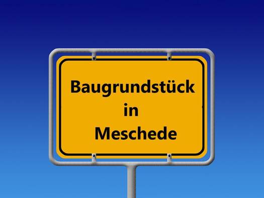 Grundstück zum Kauf 120.000 € 1.024 m² Grundstück Meschede Meschede 59872