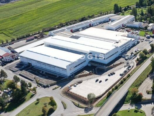 Halle/Industriefläche zur Miete provisionsfrei 18.290 m² Lagerfläche Lauffen Deißlingen 78652