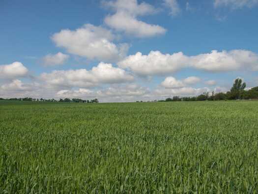 Land-/Forstwirtschaft zum Kauf 67.101 m² Grundstück Vechta Vechta 49377