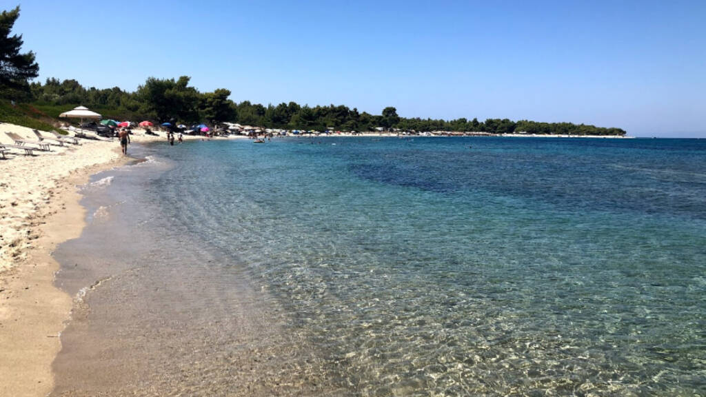 Land-/Forstwirtschaft zum Kauf 6.000.000 € 50.000 m² Grundstück Chalkidiki