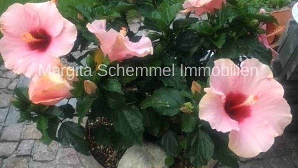 Penthouse zum Kauf 298.000 € 3 Zimmer 73,9 m² 2. Geschoss Treuchtlingen 91757