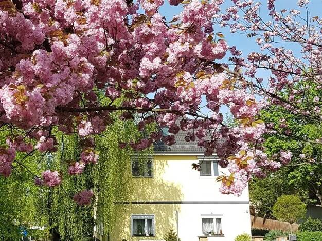 Mehrfamilienhaus zum Kauf 1.195.000 € 7 Zimmer 329 m² 849 m² Grundstück Biesdorf Marzahn-Hellersdorf 12683