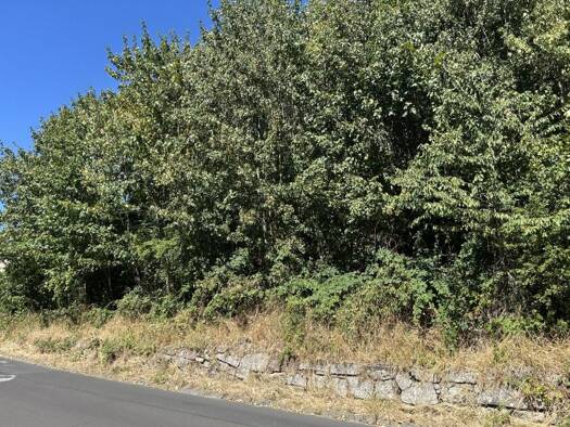 Grundstück zum Kauf 36.500 € 767 m² Grundstück Bad Brückenau Bad Brückenau 97769