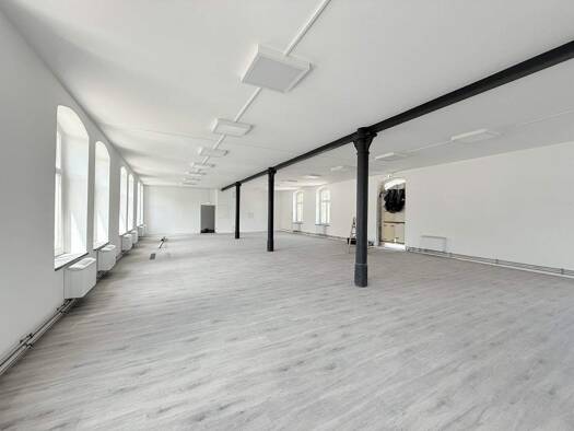 Bürofläche zur Miete provisionsfrei 6 € 1 Zimmer 243,3 m² Bürofläche Altendorf Chemnitz 09116