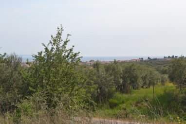 Land-/Forstwirtschaft zum Kauf 220.000 € 3.050 m² Grundstück Chalkidiki