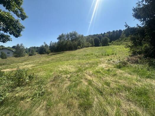 Land-/Forstwirtschaft zum Kauf 64.743 € 9.249 m² Grundstück Freyung 94075