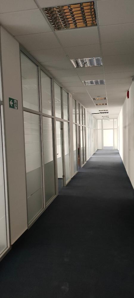 Büro-/Praxisfläche zur Miete provisionsfrei 5 Zimmer 230 m²<br/>Bürofläche Hildastraße 1 Kernstadt - Nordost Bruchsal 76646