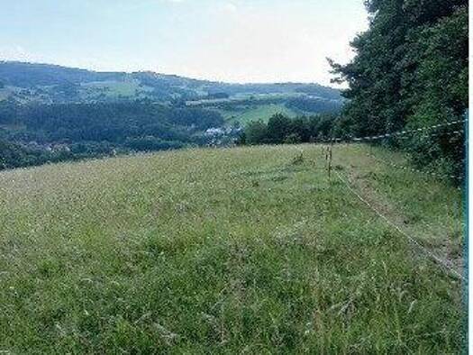 Grundstück zum Kauf 450.000 € 10.008 m² Grundstück Neulengbach 3051