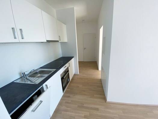Wohnung zur Miete 778 € 3 Zimmer 53,3 m² 1. Geschoss Wien 1230