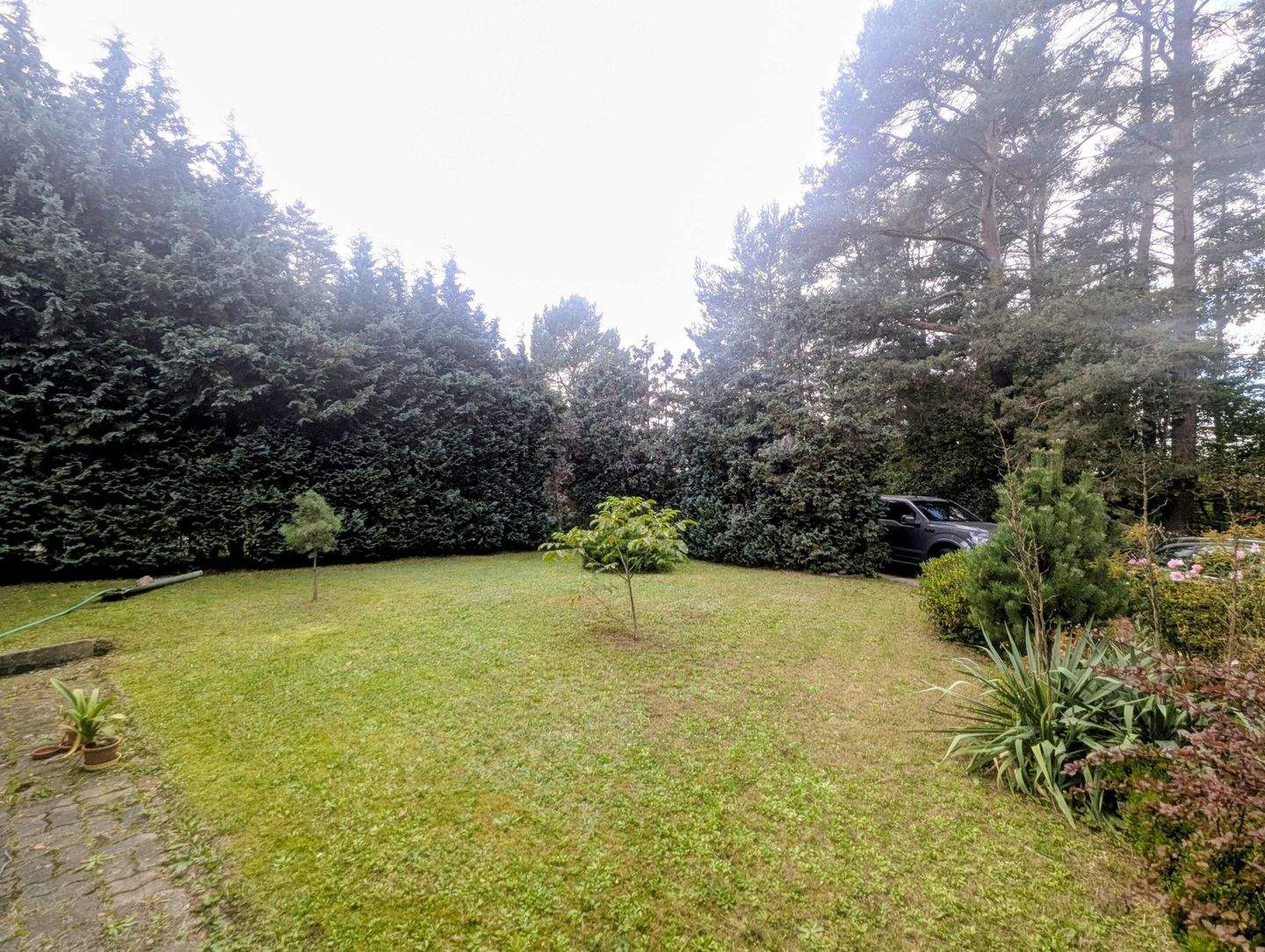 Immobilie in Quitzdorf am See - Kwětanecy - Idyllische Lage und viel Platz-Wohnanwesen in Petershain (Quitzdorf am See)-Handwerker aufgepasst ! - Bild 3