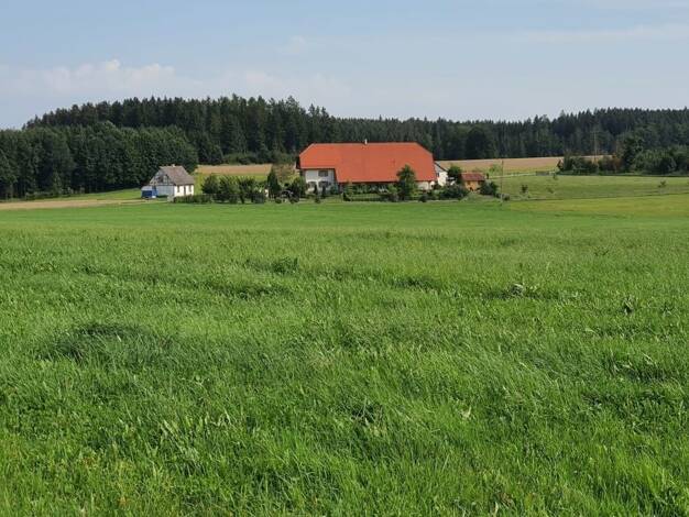 Einfamilienhaus zum Kauf 1.650.000 € 8 Zimmer 440 m² 10.269 m² Grundstück Sauldorf 88605