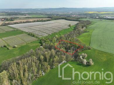 Land-/Forstwirtschaft zum Kauf 1.999 € 4.338 m² Grundstück Falkenhain Müglitztal 01809